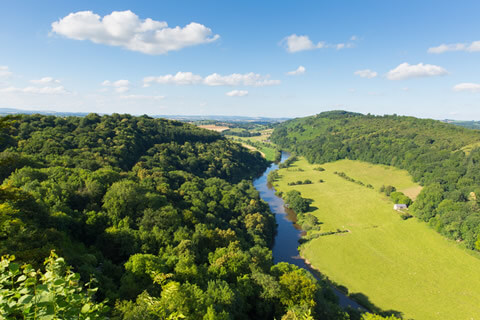 The Forest of Dean