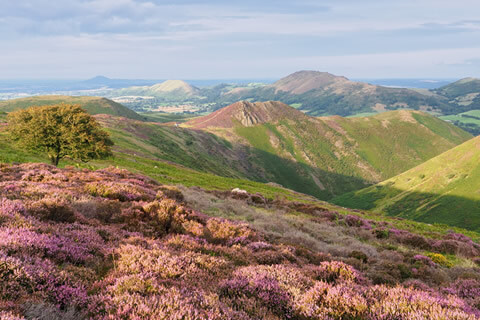 The Shropshire Hills
