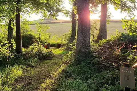 Barhams Woodland Camping