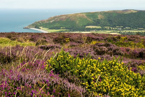 Exmoor National Park