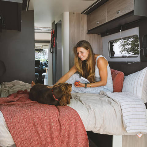 Merlin 144 (bed)