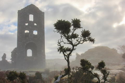 Bodmin Moor in Cornwall