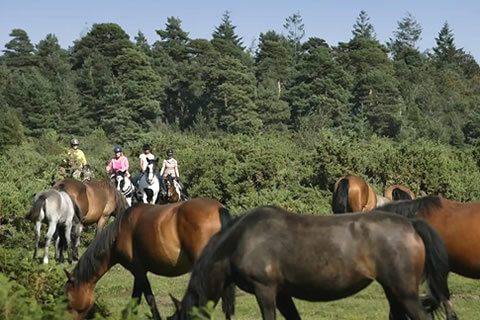 Wilksworth Caravan Park