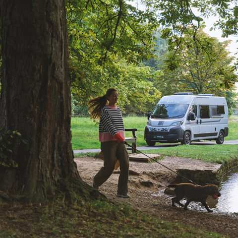 Merlin 144 (walking dog)