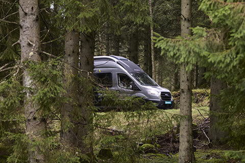 Swift campervan off-grid in a forest